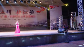 文化惠民暖人心 广州市文广新局文艺演出走进大埔西湖公园